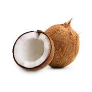 Coconut